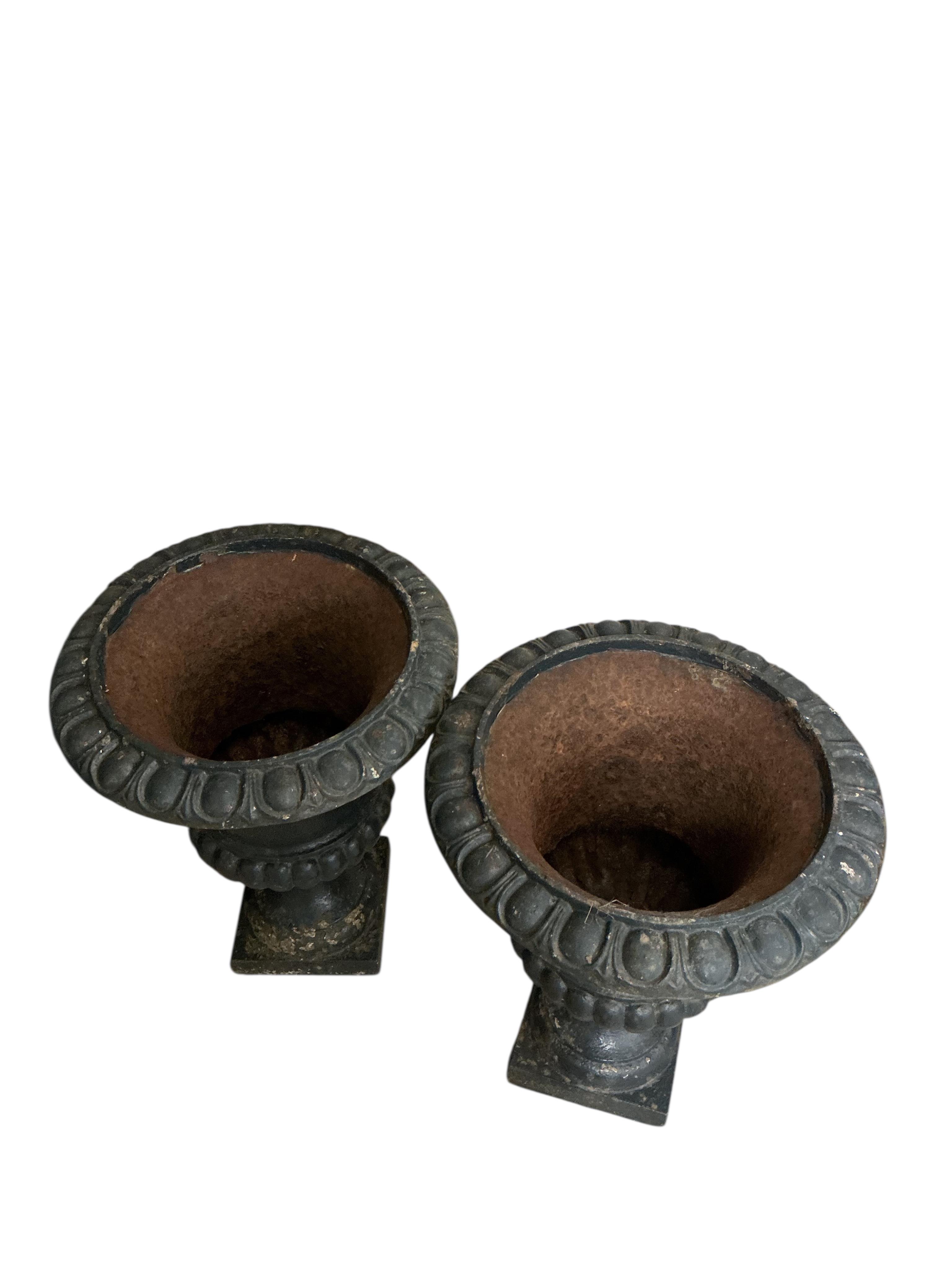 A pair of Victorian style painted cast iron campana urns, diameter 36cm, height 46cm
